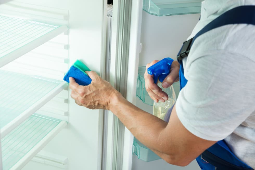 Cleaning your fridge