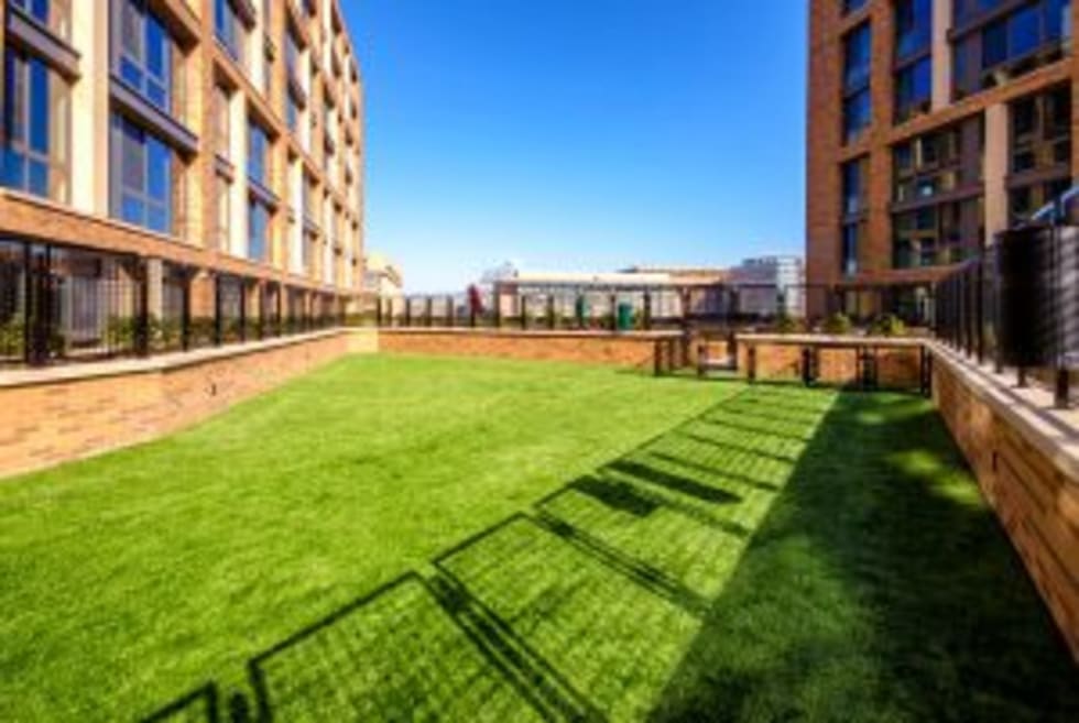 Apartments with dogs near me discount