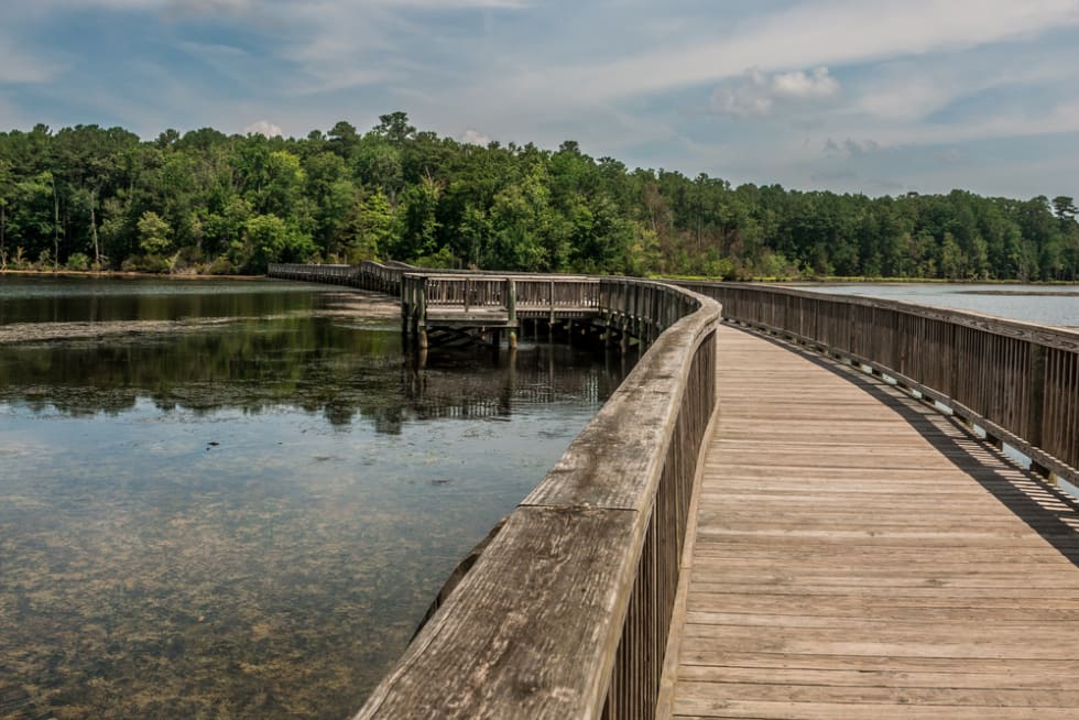  Side view of long bridge over river and into forest in Newport News Park, Newport News, Virginia.