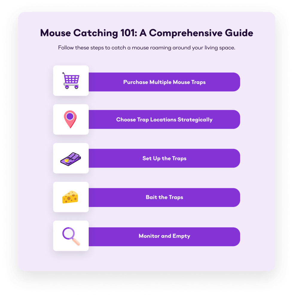 Mouse Catching 101: A Comprehensive Guide