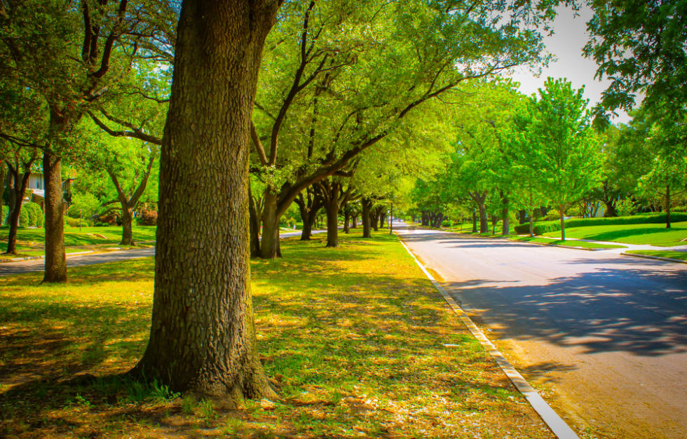 Swiss Avenue in Dallas, Texas