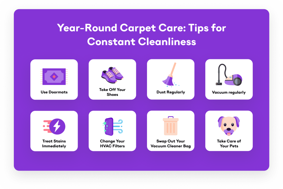 Year-Round Carpet Care Tips for Constant Cleanliness