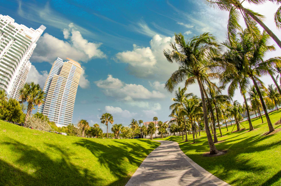  Walkway in a beautiful Park with Palms, Miami Beach