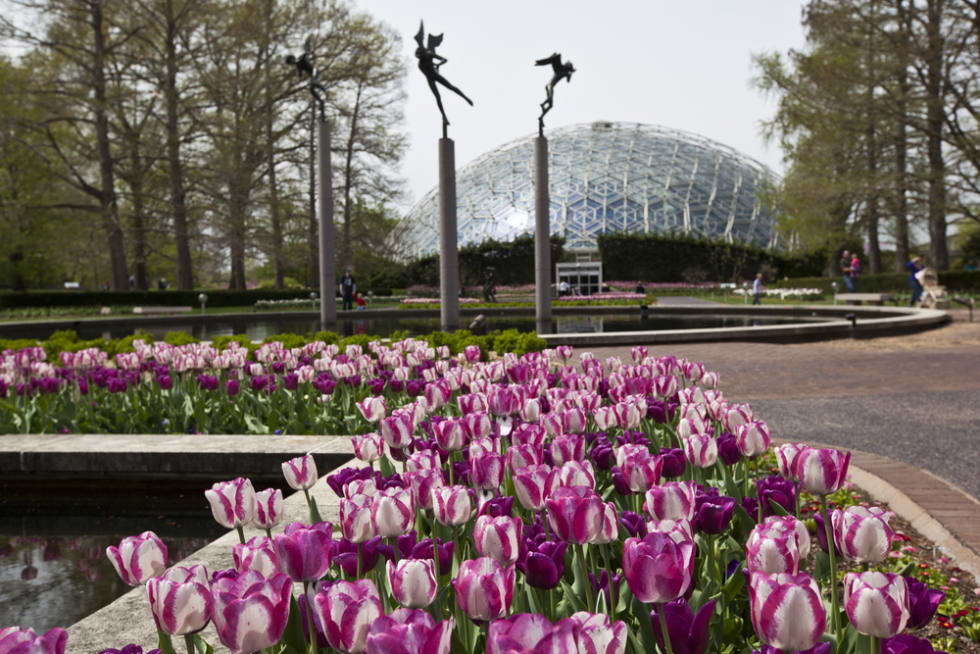  Climatron at the Missouri Botanical Gardens in St. Louis