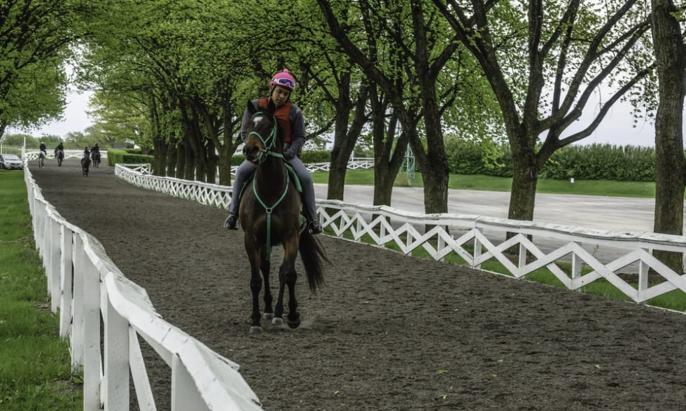 A jockey rides a thoroughbred back from a practice run on a chilly morning six days before the start of racing season at Arlington International Racecourse.