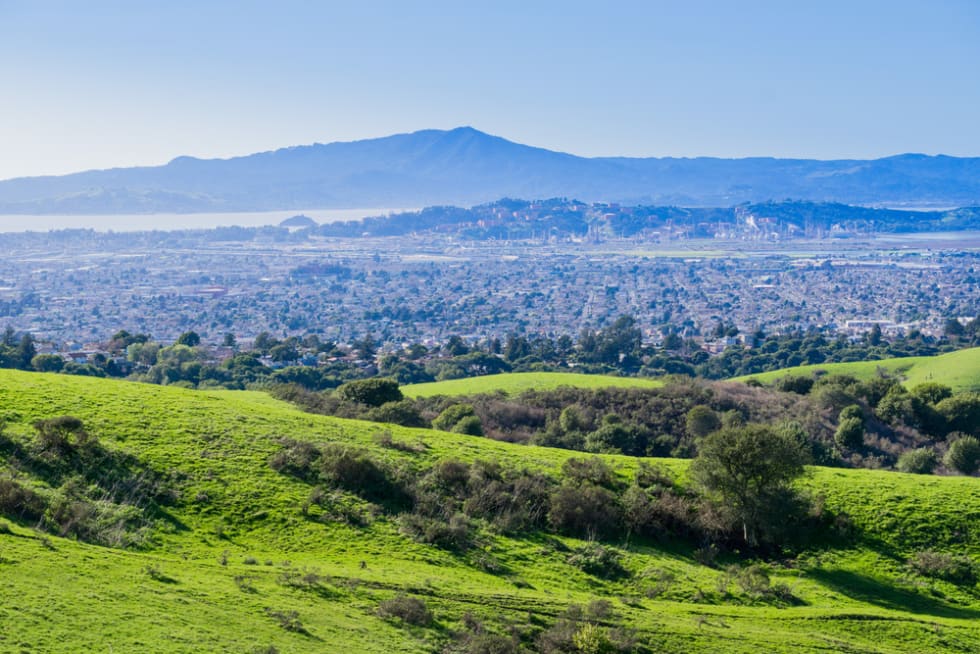 View towards Richmond from Wildcat Canyon Regional Park, East San Francisco bay, Contra Costa county, Marin County in the background, California