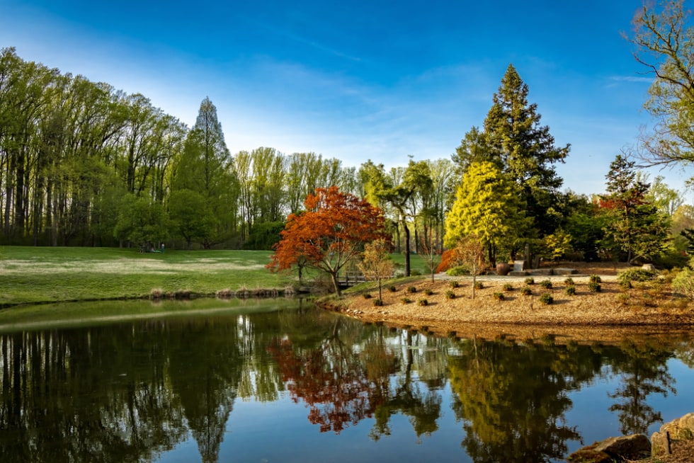  Brookside Gardens, Glenmont (Silver Spring) Maryland, with beautiful spring bloom and red leaf trees, surrounding a small lake and gazebo.