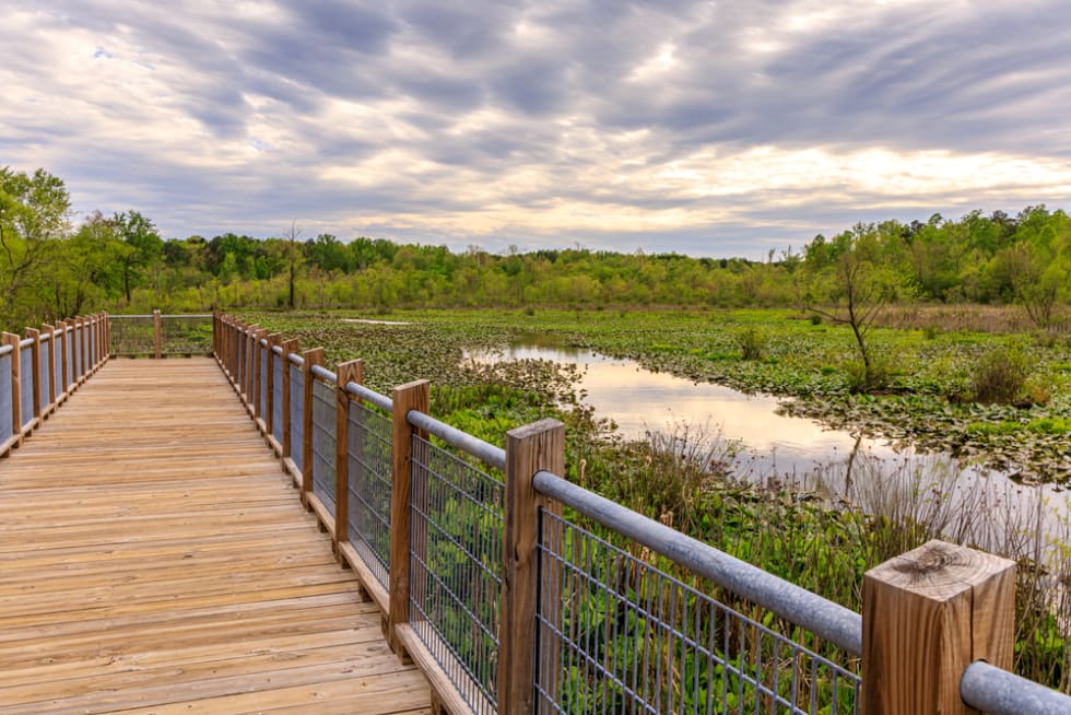 Tuckahoe Creek Park in Henrico, Virginia on a cloudy day with boardwalk and rail