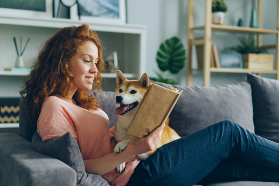 woman is reading book in cozy apartment smiling and petting adorable dog sitting on comfy couch at home.