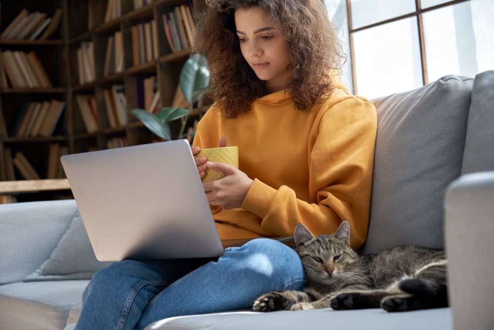  girl relaxing sit on comfortable sofa with cute pet cat watching remote education webinar class, movie series on laptop drinking warm tea in cozy sunny living room.