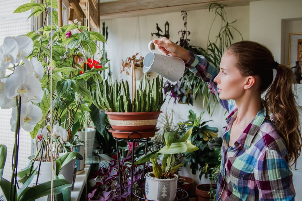 Woman watering plants