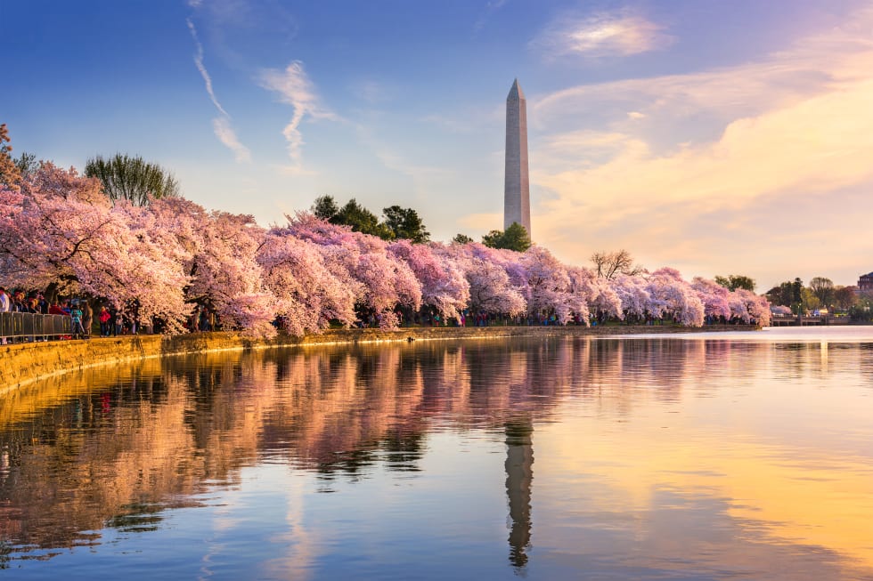 Washington DC, USA at the tidal basin with Washington Monument in spring season. - cost of living in washington dc