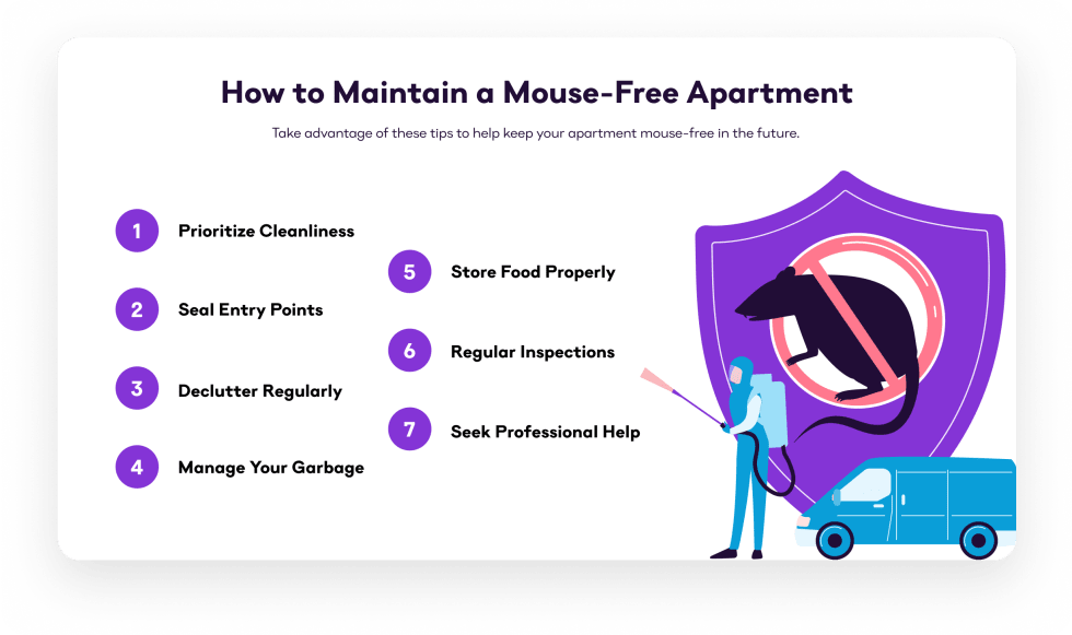 How to Maintain a Mouse-Free Apartment