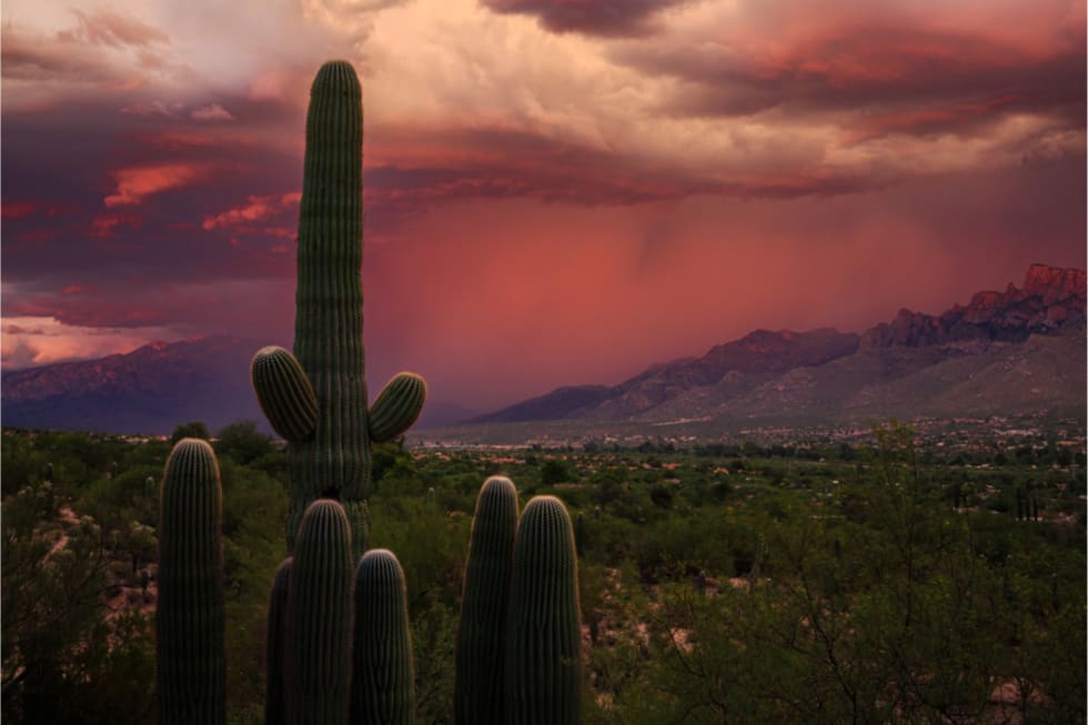 Best Places To Live In Arizona 15 