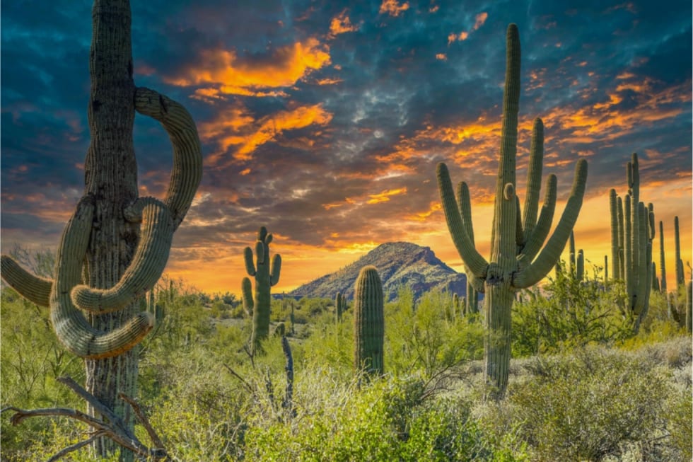 best-places-to-live-in-arizona-11