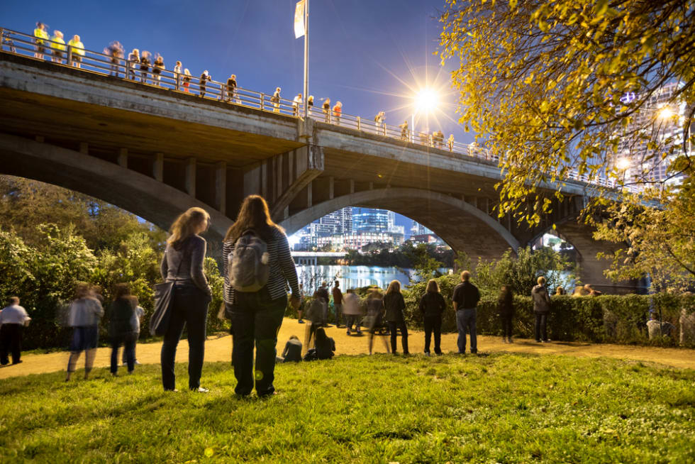 People watch for bats from under the Congress Avenue Bridge in downtown Austin Texas USA