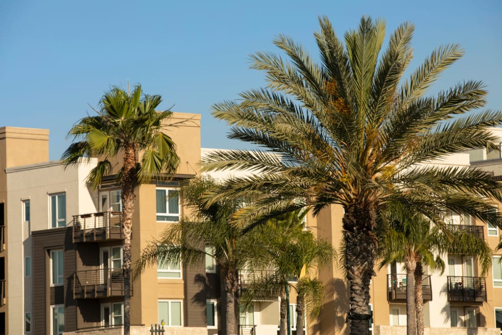 Cost of Living in Anaheim, CA 2022