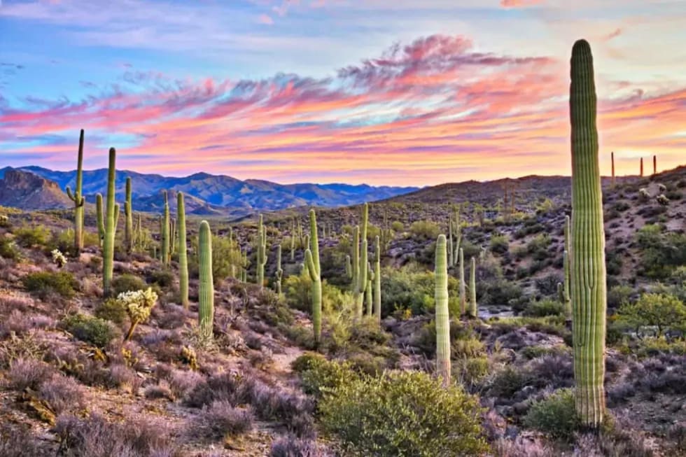 Best Places To Live In Arizona 