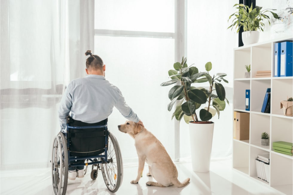 How To Find Handicap Accessible Apartments 