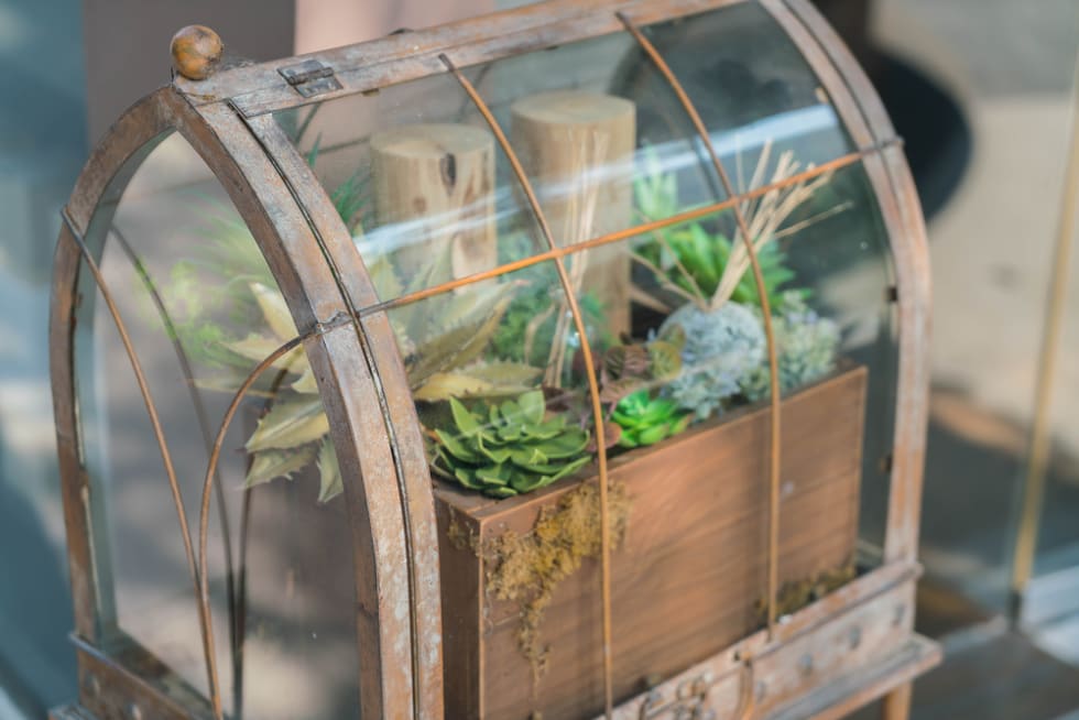 Apartment Gardening For Beginners Tips And Tricks Renter Life