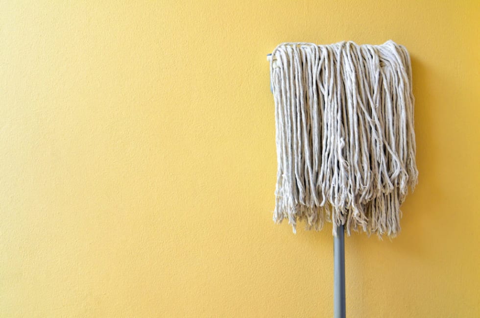 Apartment Flooding What To Do How To Handle The Situation Renter Life