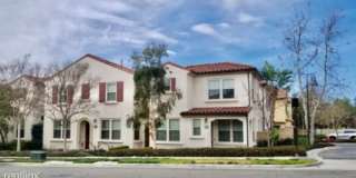 76 Wild Rose 76 Wild Rose Photo Gallery 1