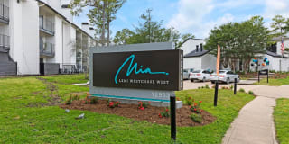 LXMI Westchase West LXMI Westchase West Photo Gallery 1