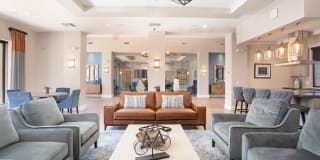 Zinc Zinc Photo Gallery 1
