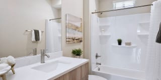 The Hardy Tempe Townhome Living The Hardy Tempe Townhome Living Photo Gallery 1