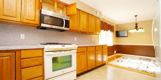 33 Sylvia St 33 Sylvia St Photo Gallery 1