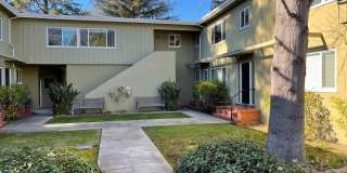 440 Ravenswood Ave 440 Ravenswood Ave Photo Gallery 1