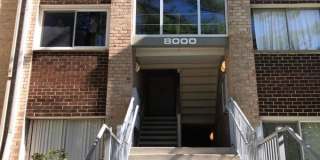 8000 CHANUTE PLACE 8000 CHANUTE PLACE Photo Gallery 1