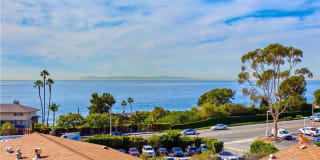 30802 Coast 30802 Coast Photo Gallery 1