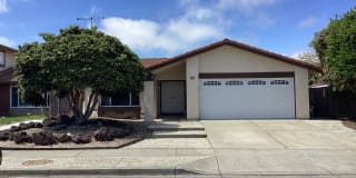 32693 Bucks Lake Lane 32693 Bucks Lake Lane Photo Gallery 1