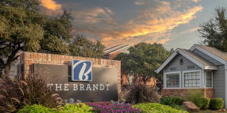 The Brandt The Brandt Photo Gallery 1