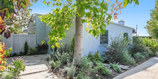 820 Opal Street 820 Opal Street Photo Gallery 1