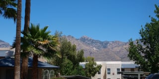 Cortland Sabino Canyon Cortland Sabino Canyon Photo Gallery 1