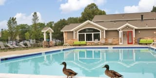 2821 Pheasant Hollow Dr 2821 Pheasant Hollow Dr Photo Gallery 1