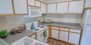 Villas at Countryside Villas at Countryside Photo Gallery 1