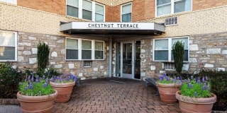 Chestnut Terrace Apartments Chestnut Terrace Apartments Photo Gallery 1