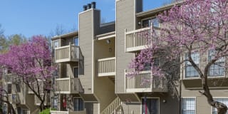The Retreat at Woodridge Apartments The Retreat at Woodridge Apartments Photo Gallery 1