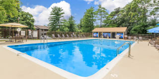 The Pines Apartments The Pines Apartments Photo Gallery 1