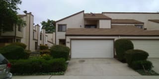 1239 Riverside Drive 1239 Riverside Drive Photo Gallery 1
