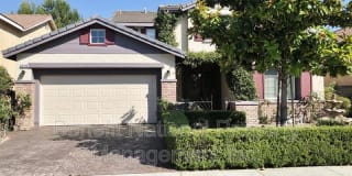 29236 Meandering Circle 29236 Meandering Circle Photo Gallery 1