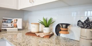 The Ivy at Ariston The Ivy at Ariston Photo Gallery 1