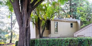 30 Adelphi Ct. 30 Adelphi Ct. Photo Gallery 1