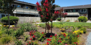 Latham Square Apartments Latham Square Apartments Photo Gallery 1