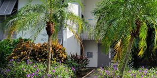 1160 W. Peppertree Dr. #113C 1160 W. Peppertree Dr. #113C Photo Gallery 1