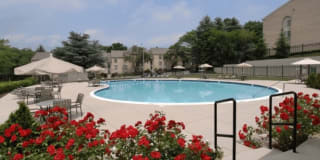 Steeplechase Apartment Homes Steeplechase Apartment Homes Photo Gallery 1