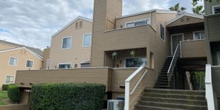 1019 Dornajo Way #217 1019 Dornajo Way #217 Photo Gallery 1